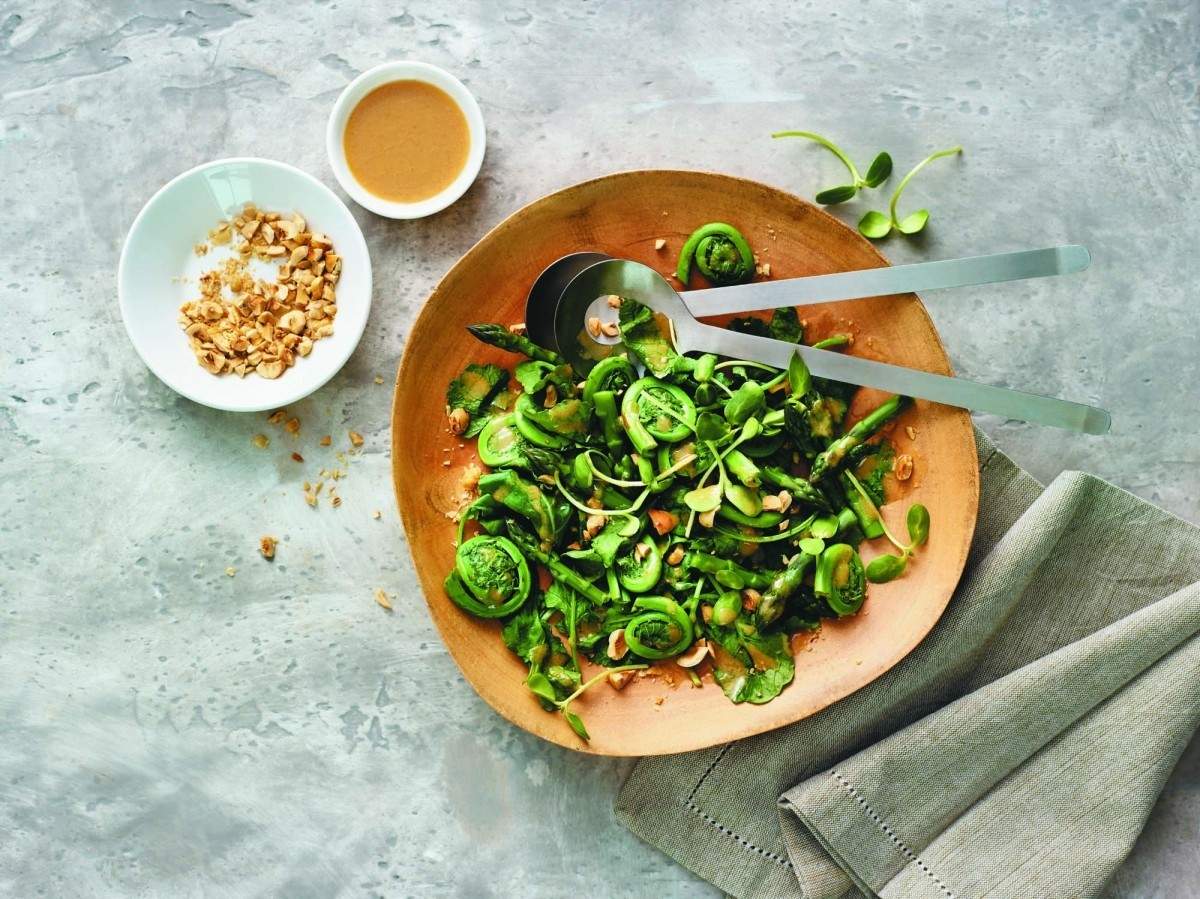 Spring sprouts hazelnut gomae Eat North