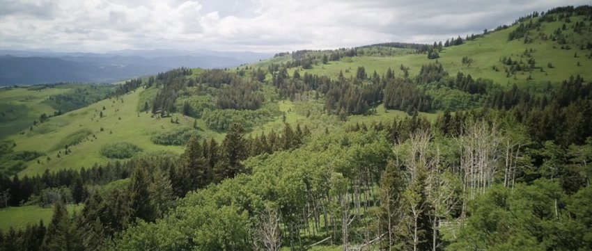 Image for Guardians of the Grasslands documentary sheds light on Canada's endangered prairie landscape