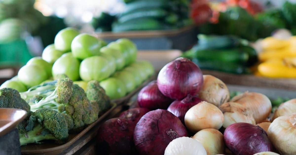 Alberta food charities and shelters in need of support Eat North