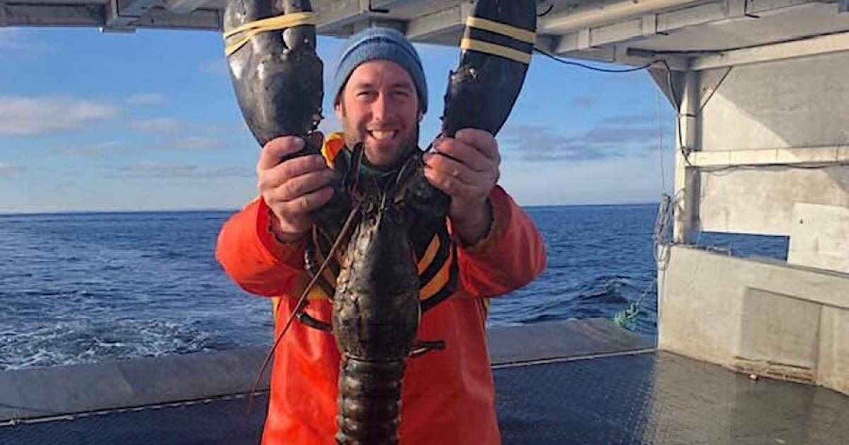Why East Coasters go wild for winter lobster Eat North