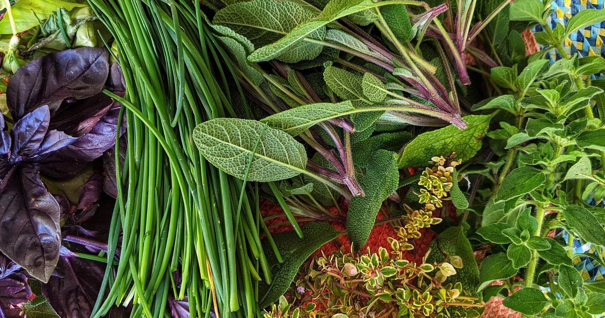 Making the most of fresh herbs Eat North