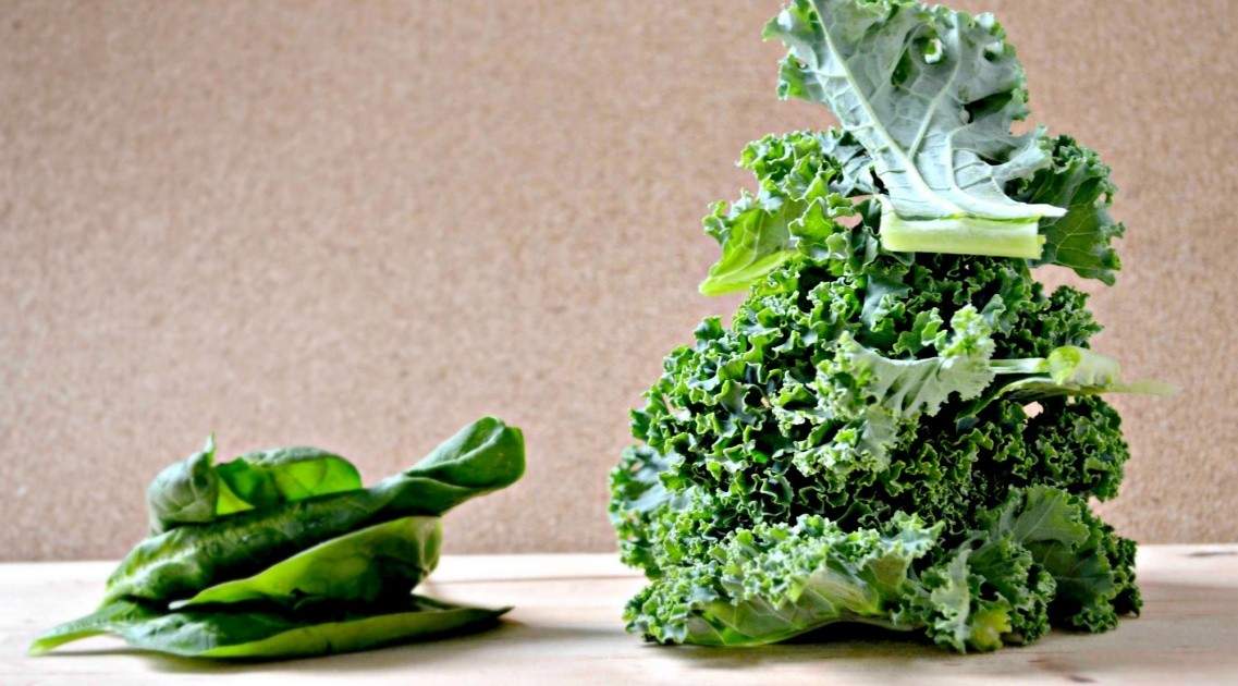 8 reasons why kale is cooler than spinach Eat North