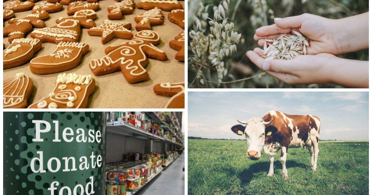 ICYMI: Canada's booming oat milk market, deep-fried maple leafs, and more - Eat North