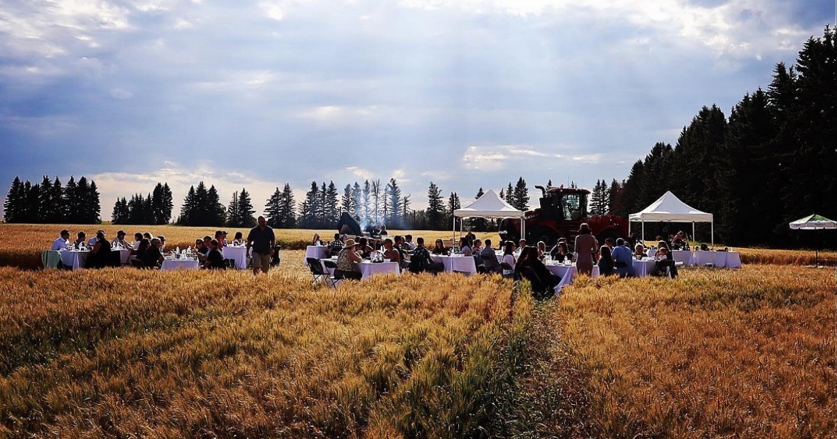 MilkCrate’s Feast in the Field returns to Edmonton August 20 Eat North