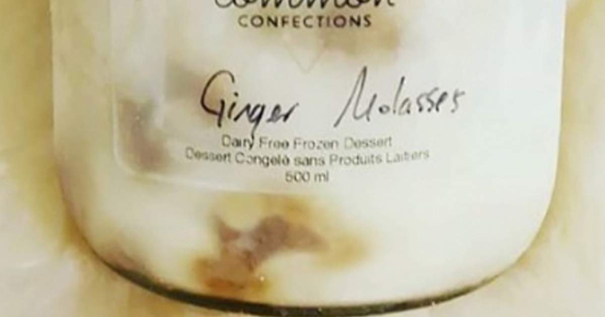 Daily bite Halifax’s only vegan ice cream maker relaunches in