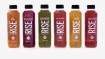 Image for On the rise: how Rise Kombucha is changing the beverage industry