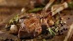 Image for Urban Butcher Alberta lamb rack