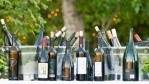 Image for Daily bite: BC Wine Institute seeks injunction over continued boycott