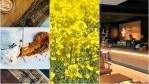 Image for ICYMI: Vancouver Starbucks extends its menu to alcoholic drinks, Alberta farmers expand canola production and a cultural-burrito controversy in food news this week