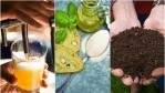 Image for ICYMI: Calgary’s new Shepard composting facility opens, two actors hosting Canada’s new baking show and the changing world of craft beer in this week's food news