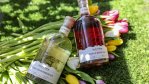 Burwood Distillery Garden Party Series: Triple Berry Gin and Cool Cucumber Gin