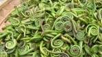 Image for 10 Vegetables you need to cook with this spring