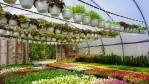 Image for Nova Scotia’s Fox Harb'r Resort puts sustainable dining first