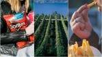 Image for ICYMI: "Lady Doritos", Alberta government boycotts import of B.C. wine, signs of food addiction and more