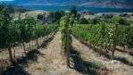 Image for Laughing Stock Vineyards: how David and Cynthia Enns went from the finance industry to the business of fermentation