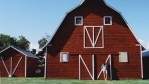 Image for The dog days of summer on a Saskatchewan farm