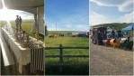 Image for Alberta Open Farm Days appeal to all your senses to let you experience its rural communities