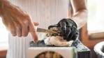 Image for How to choose the right oysters and shuck them at home