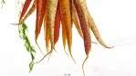 Image for 7 Root vegetables to cook with this fall and winter