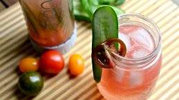 Bonne O machine recipes