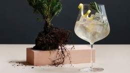 Image for Botanist restaurant's B&amp;T cocktail