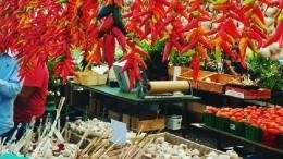 Image for Your guide to Montreal’s Jean-Talon Market
