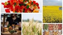 Image for ICYMI: New poll shows that Canadians are no longer as enthusiastic for legal edibles, Canada uses the WTO as a platform to request evidence from China about their canola ban and more