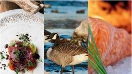 Image for ICYMI: Canadian stores sell genetically modified salmon, Washington park donates Canadian geese for consumption, and enRoute magazine’s list of the best new restaurants in this week’s food news