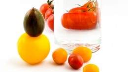 photo courtesy of Ingrid Kue Photography. Image for How Canadian chefs are getting creative with tomatoes
