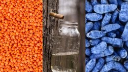 Lentils, maple water and haskap berries all get shout outs on the 'Wish We Never Met' podcast!