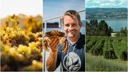 Image for West Coast wines meet Western Canadian cuisine at Chef Meets BC Grape