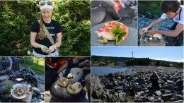 Image for Foraging in Newfoundland with Cod Sounds