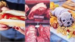Image for ICYMI: food health violations at Canadian pro sports stadiums, misleading red meat price assumptions for 2019, Richmond puppy desserts and more