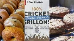 Image for ICYMI: Loblaw starts selling cricket powder, Ottawa bagel shop looks to make Montreal-style bagels, world’s first robotic kitchen assistant and more 