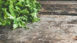 Image for Announcing the winners for our inaugural Rising Awards 