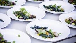 Image for Alberta ERA: A dinner inspired by the Mesozoic Era returns to Drumheller June 8