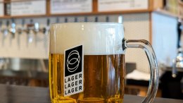 Pint of Czech-style beer at Establishment Brewing in Calgary