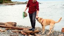 Q at the Empress head executive chef Ken Hookham and Winston strolling the Vancouver Island shores in January. Image for New Fairmont Empress canine ambassador Winston is