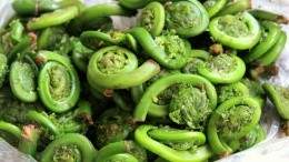 Image for Canadian food DYK: Tide Head, New Brunswick is the fiddlehead capital of the world