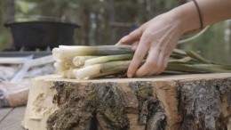 Cattails getting prepped for dinner on an episode of 'From The Wild' season three Image for Canadian filmmaker Kevin Kossowan and his series 'From The Wild' nominated for James Beard Award