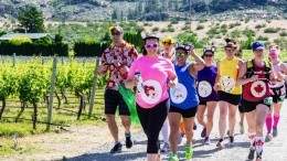 Image for Daily bite: Ticket lottery for the Half Corked Marathon opens November 1