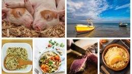 Image for ICYMI: March 14