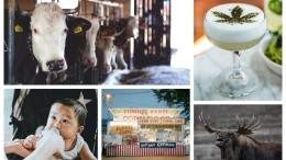 Image for ICYMI: Federal prison farms to reopen in Ontario, Nom Noms debuts in Canada, and more
