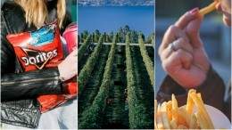 Image for ICYMI: &quot;Lady Doritos&quot;, Alberta government boycotts import of B.C. wine, signs of food addiction and more