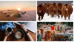 Image for ICYMI: Ricardo Media cancels English-language magazine, Saskatchewan farmer creates wagyu-hybrid, and more