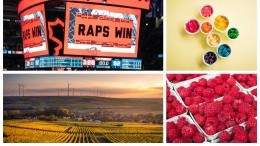 Image for ICYMI: Raptors fans find refuge in Canadian-owned California deli, raspberry recall in Québec, and more