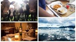 Image for ICYMI: Canadian cattle producers file complaint against Beyond Meat, Canadian hospitals to improve meal quality, and more