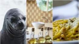 Image for ICYMI: Dispute over consumption of seal meat, Canadians spending on food and top Italian restaurants in Canada in last week's food news