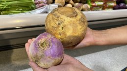 Left: turnip  Right: rutabaga