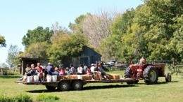 Image for Explore the farms of Alberta with tours and dinners of Alberta Open Farm Days